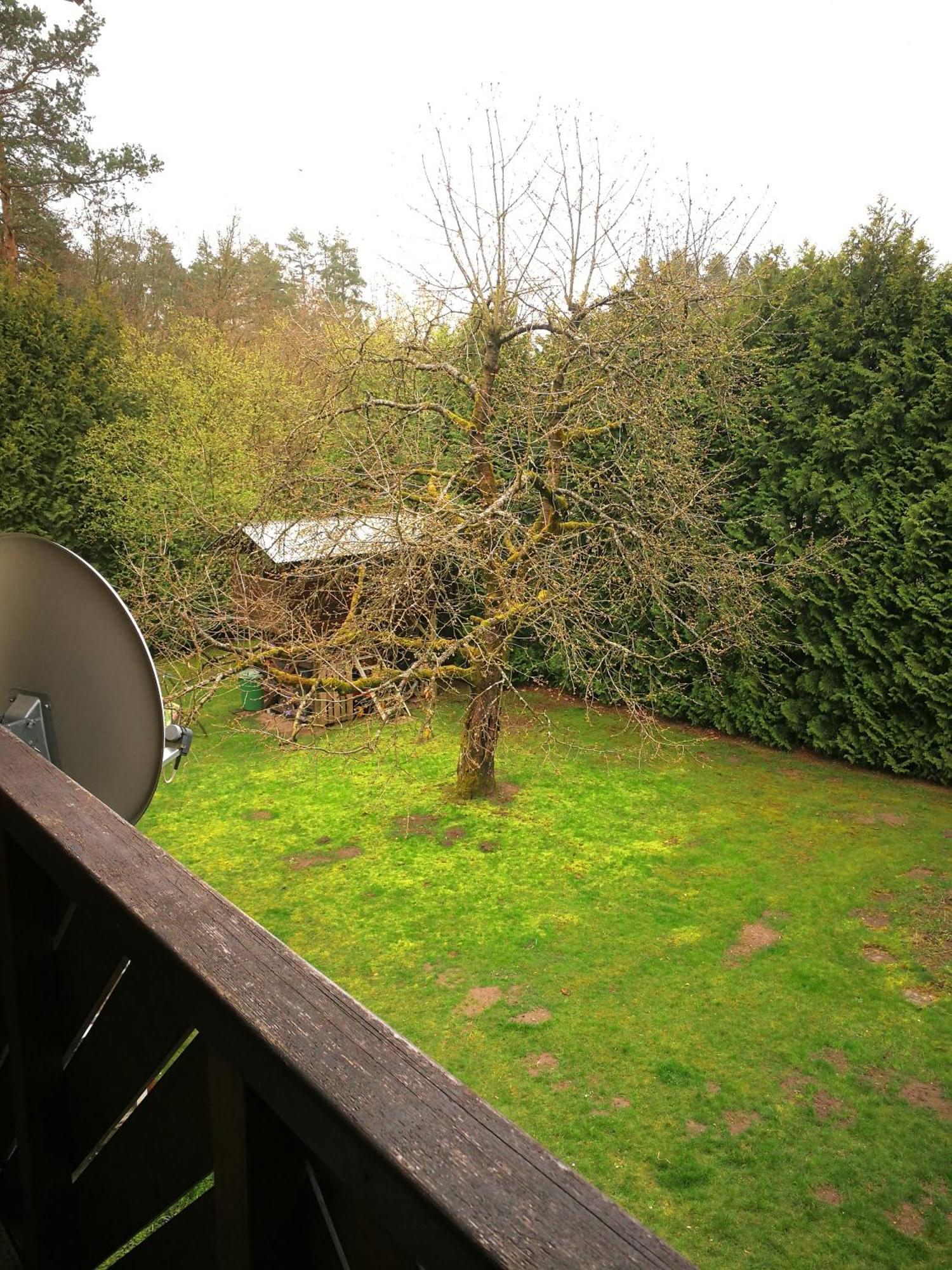 Ferienwohnung Mit Balkon 1.Og Neustadt bei Coburg Extérieur photo